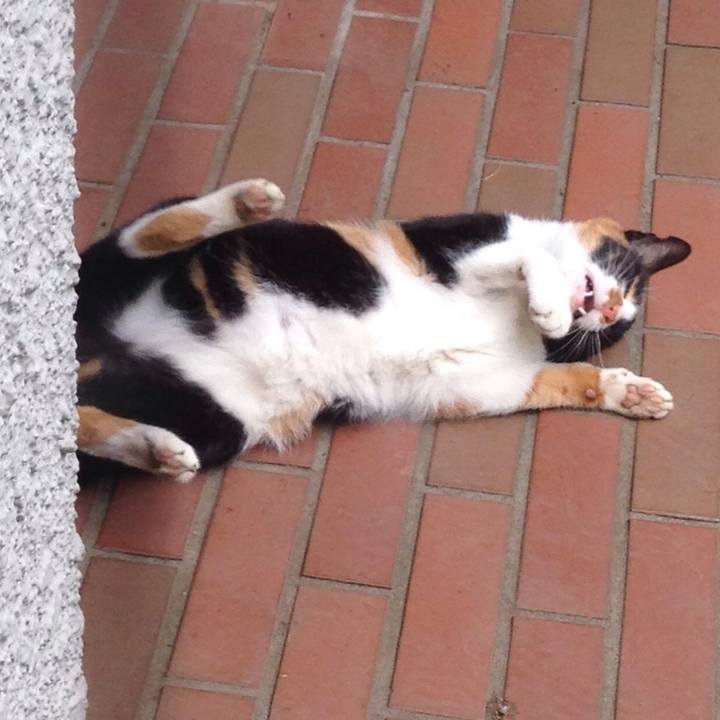 E9672aad 7d71 4e62 8ab3 f826b2745e2c