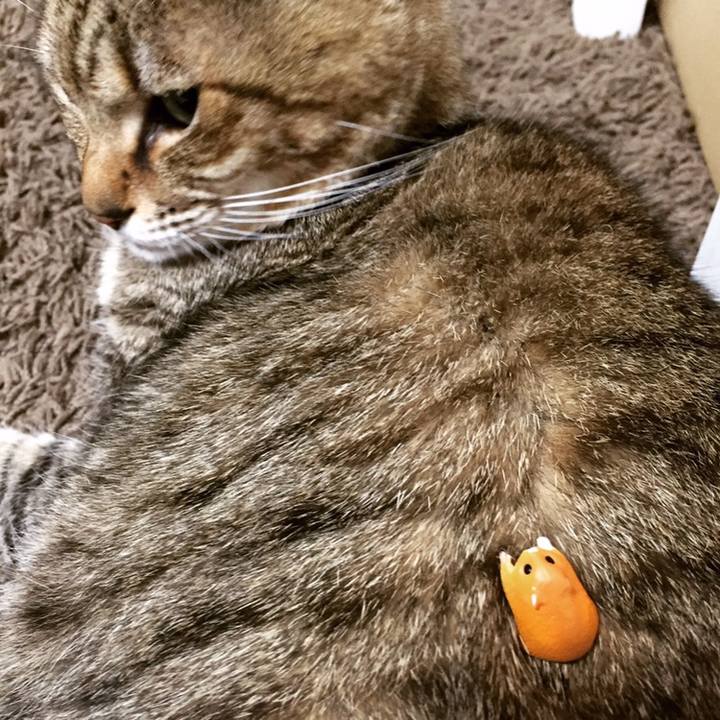 E9675600 ea38 4f32 abc5 58b58de1dec3