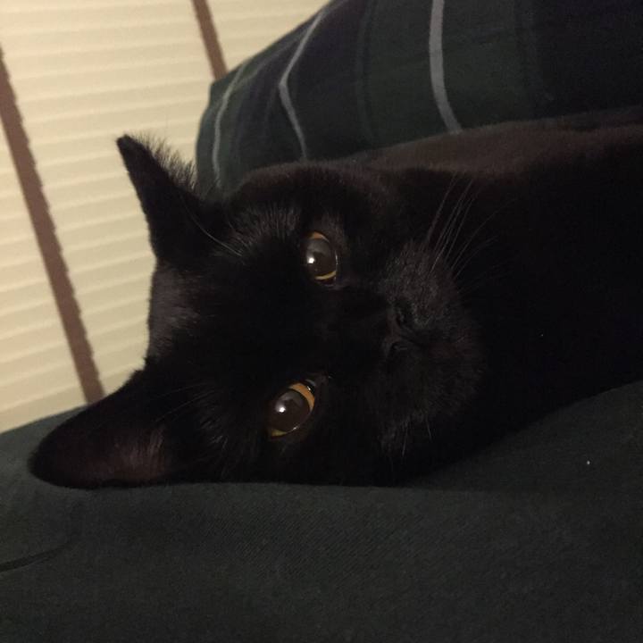 E967d154 2870 4367 8873 35614eb67471