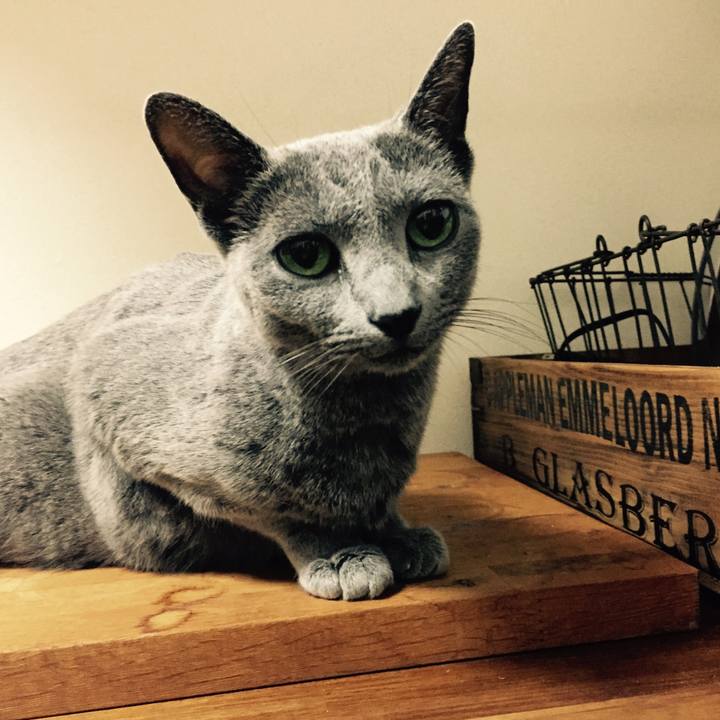 E96807ec b8e4 4229 a963 1e2a17f4d8cd