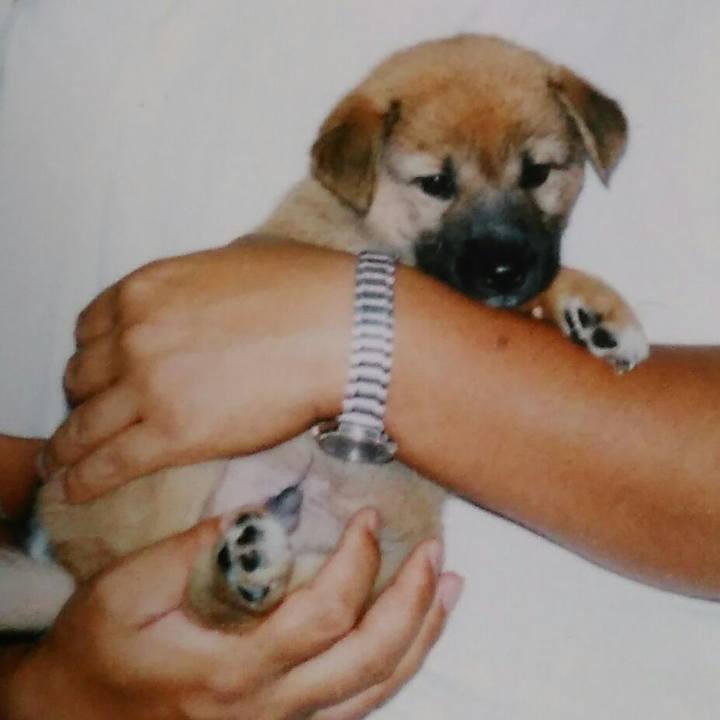 E9693460 ea8d 43c1 be13 ac26aa7b93cf