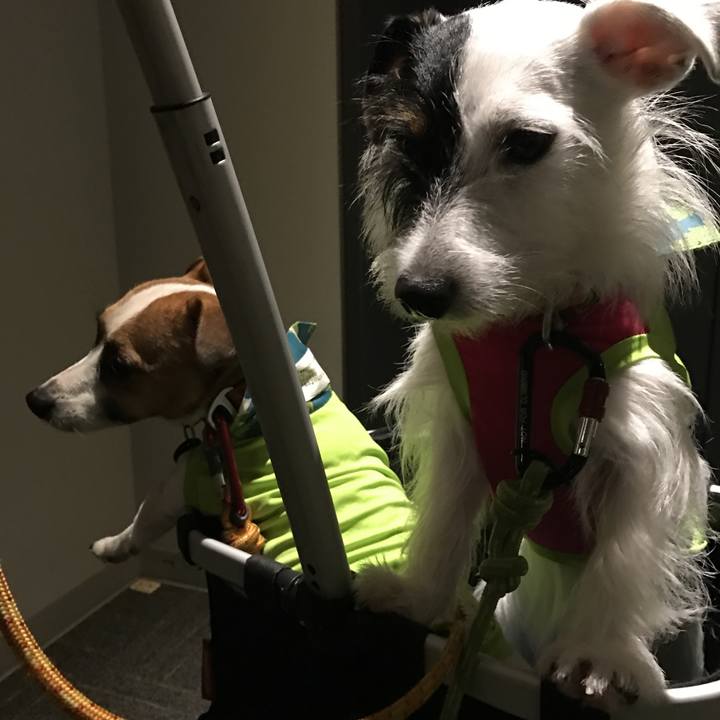 E9698577 ce28 4749 8c94 426c5fd3a801