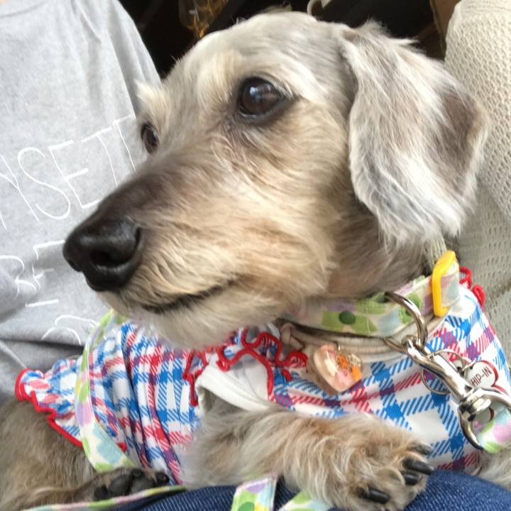 E96a75bb 58f4 488b 9cbc 051fdcd64154