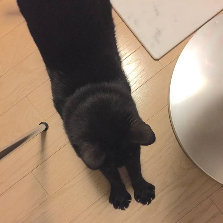 E96a7652 8b08 4705 9960 b62fa3d7e021