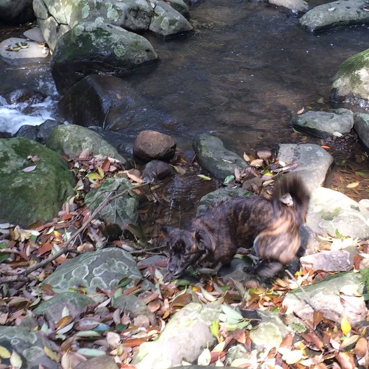 E96b73b0 b2e7 4a65 b4f9 7789d01df4dc