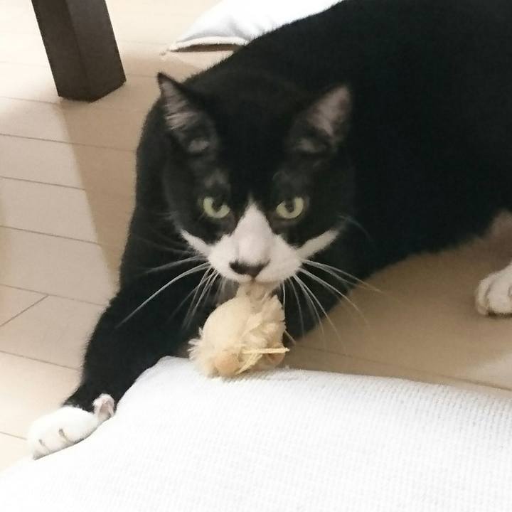 E96b7863 88a1 427c ae69 d3f16b1b7d38