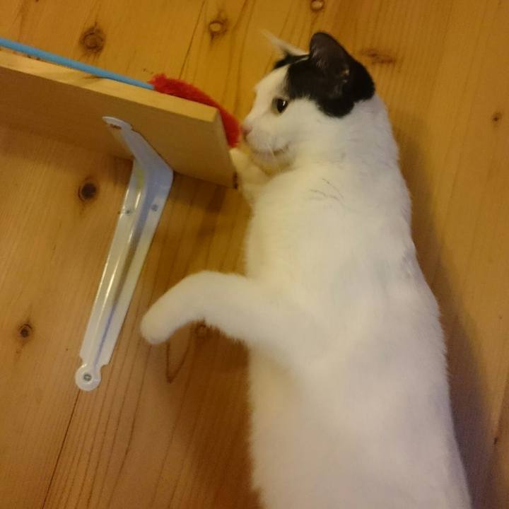 E96b7f81 cbab 4e24 b743 b82957ae9a50