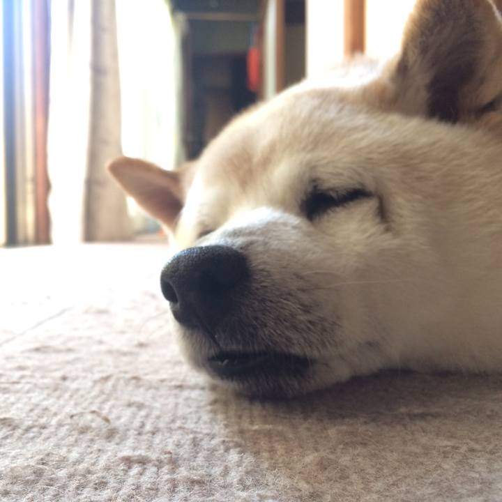 E96c7f25 eec6 44d7 a5bb c446a86e0a57