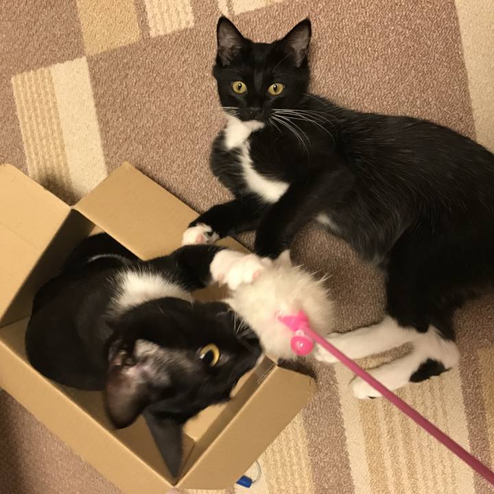 E96cdc05 6797 43b7 82de 641b11552401