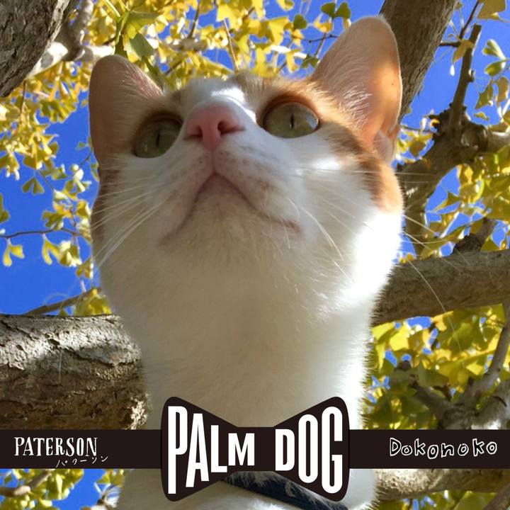 E96d016a 45b4 40a9 991f 394530d9befc