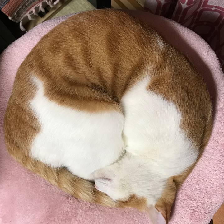 E96d9b08 ed19 468a a9e5 7793a13168ad