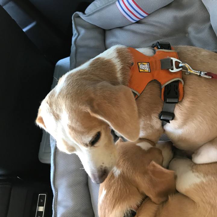 E96e38a5 513a 4841 9361 0b877cf08c25