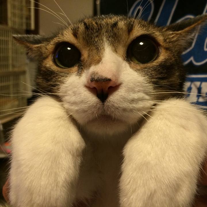 E96e6480 c7fe 4a35 8da5 7b3fdb8d958a