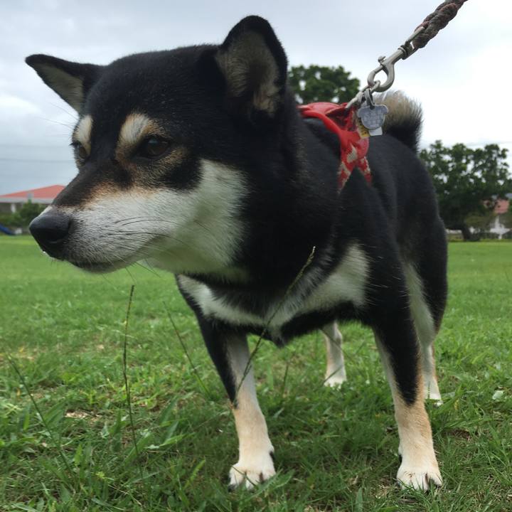 E96f1b4d 7832 4ac2 b5b5 9133283cbd80