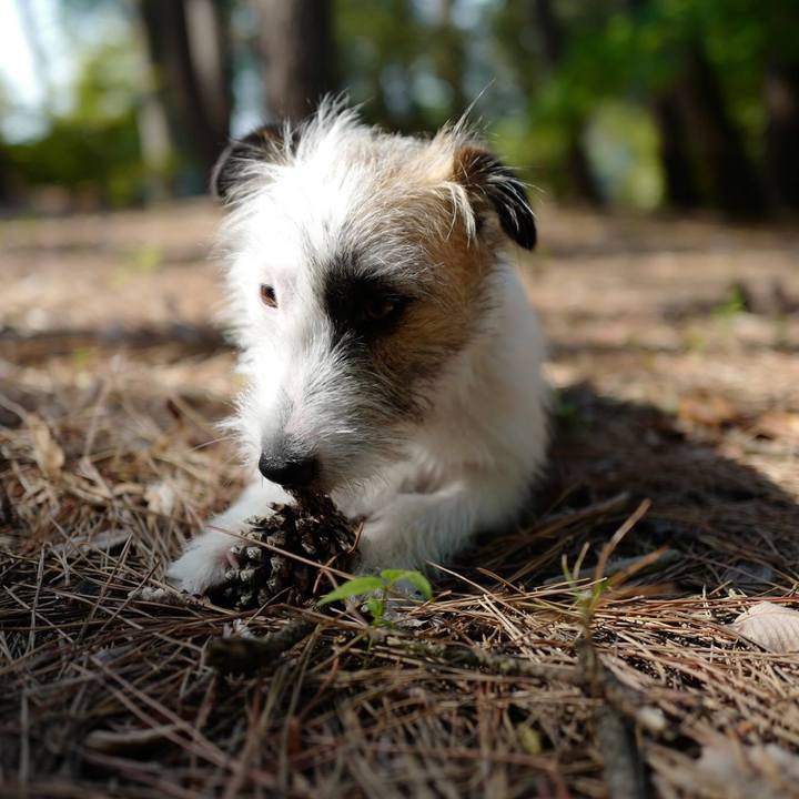 E96f5a3d ec6c 49ec 8152 559310daa664