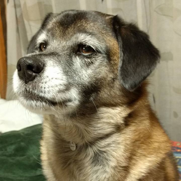 E96fa430 1482 4f36 9bea 1bc9e5911738