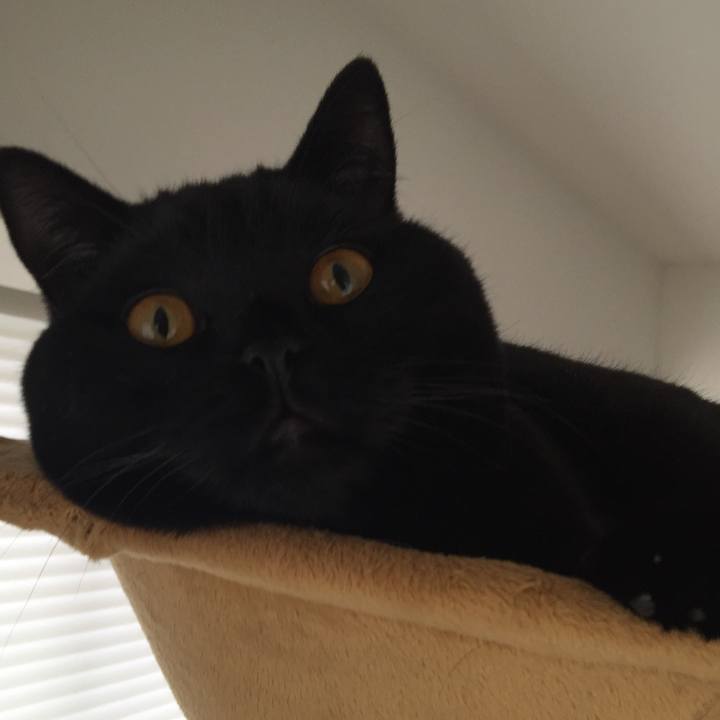 E96fabdf c92e 41b1 b3c6 7ab8878897bb