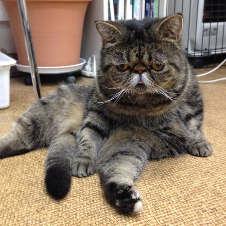 E96fb002 6f8a 44f7 b8e8 5626c635aaf6