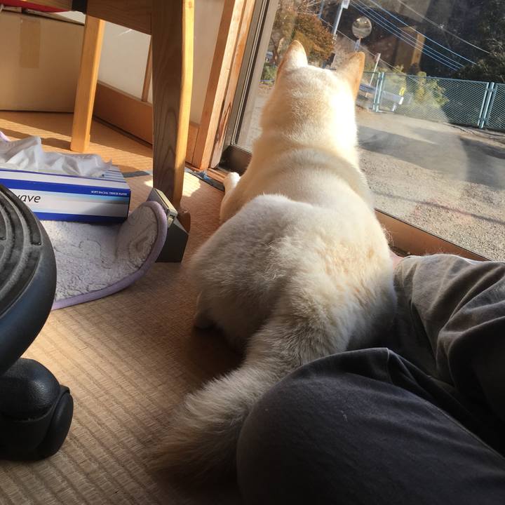 E9700458 2663 4293 8dee cbd649e0c6c3