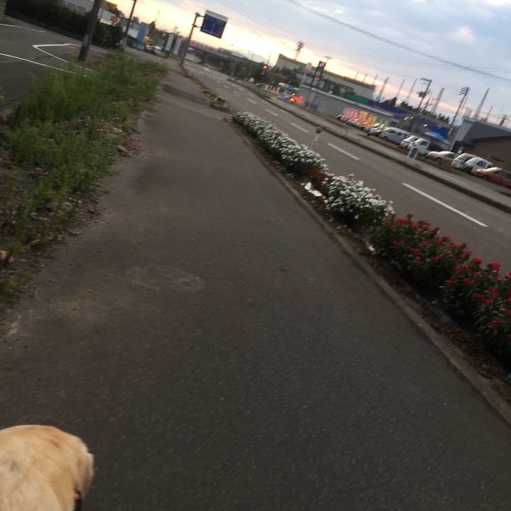 E9702c4b 70bc 4afa a0b7 49a746cc321f