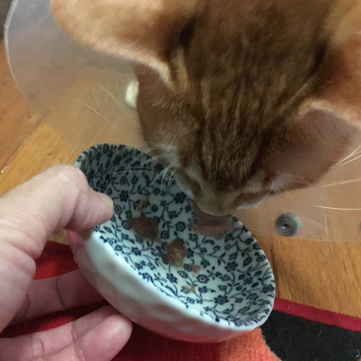 E97037ba fd0b 4e55 b545 1aa5a296010a