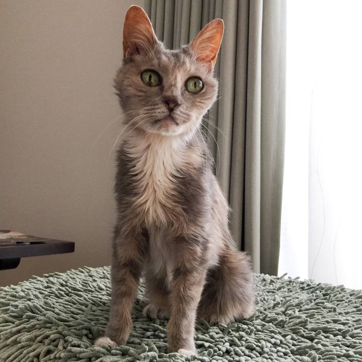 E970a9c2 0919 407d a039 70cd27e27ad6