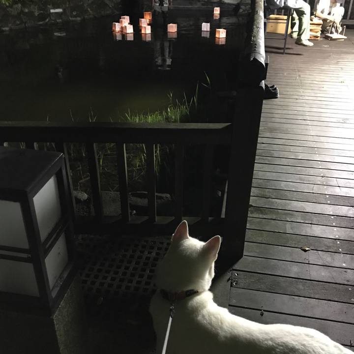 E970b4f5 c7f7 49a5 bbb8 32bccb3a9787