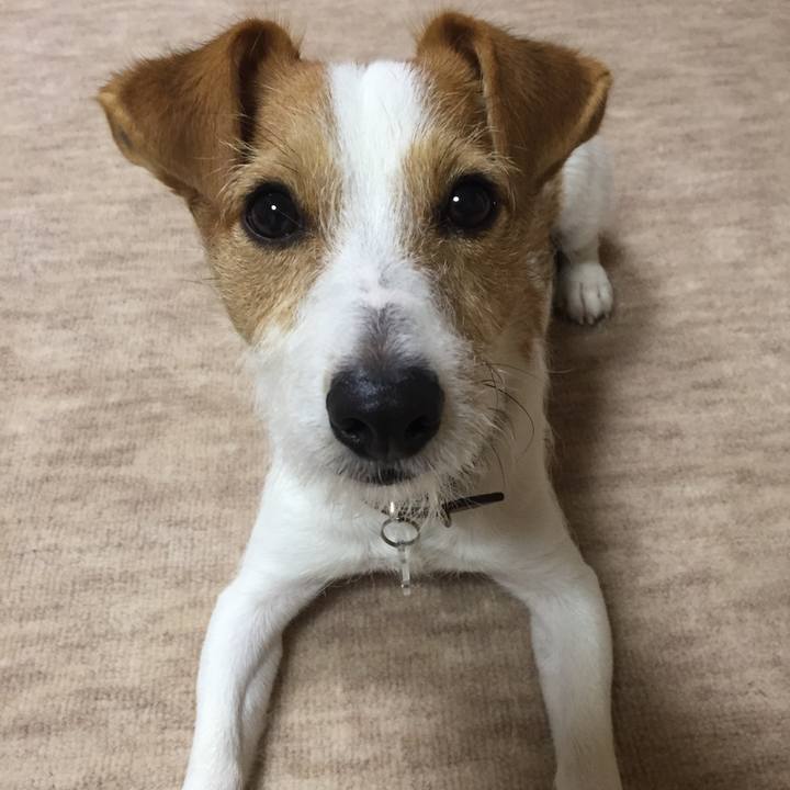 E970c380 3a9e 486c a512 92cc03d746fc