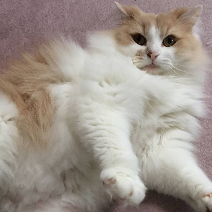 E970c865 056d 44b0 9ea3 32b7c4ac41cb