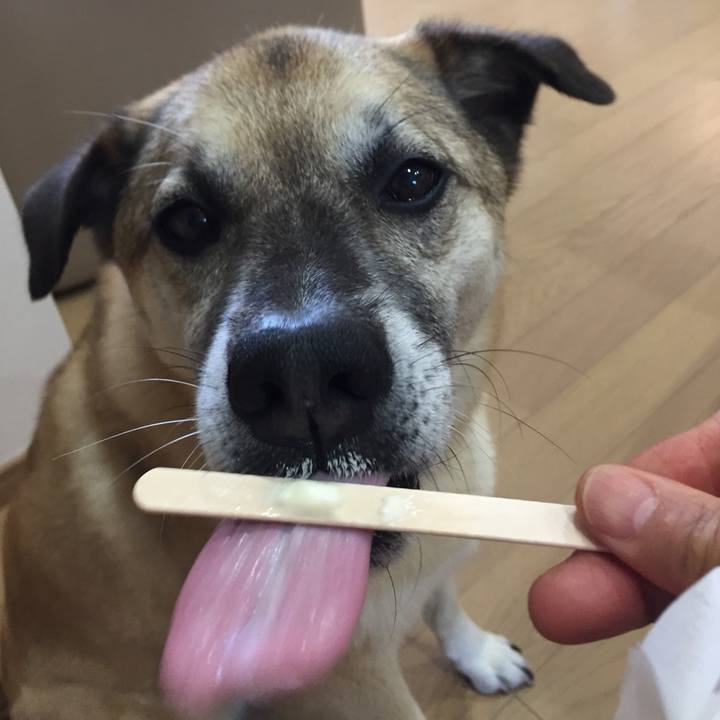 E9711b1f 08f7 4d6f ae0f 603b6d5768b5