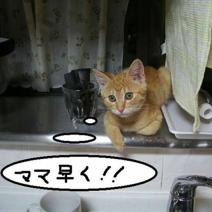 E971238a 8296 46aa be83 96f398b58022