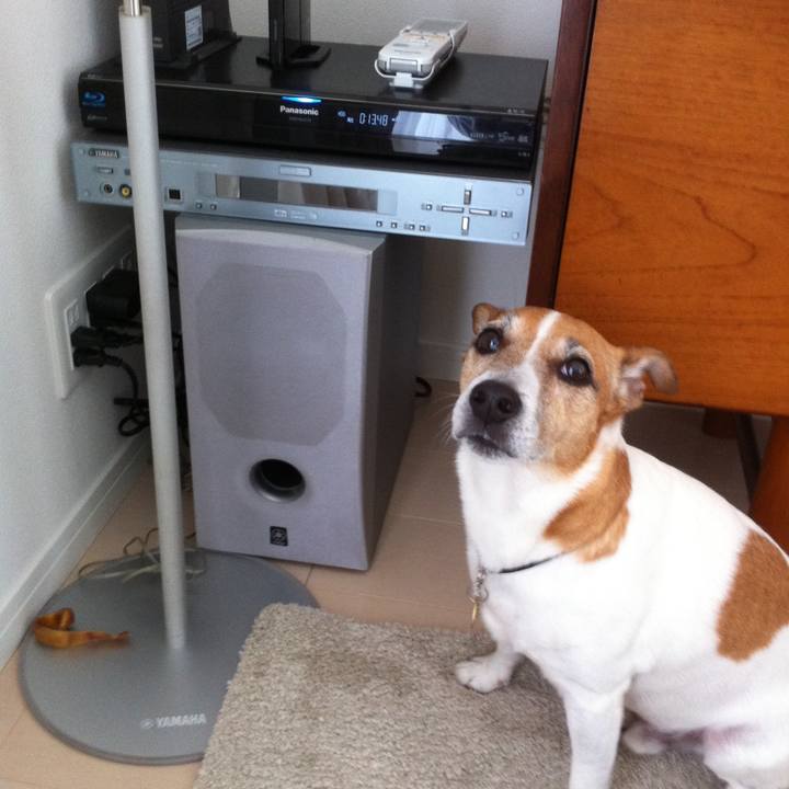 E971ae05 4f00 49a4 87f2 758038c67ff5