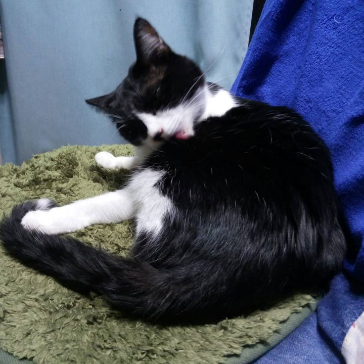 E971c89d 3d29 4a1d b3e5 c5382a6f88d5