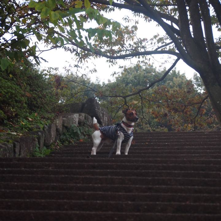 E971cdf1 3f8b 44f5 9a63 8a0a533db23e