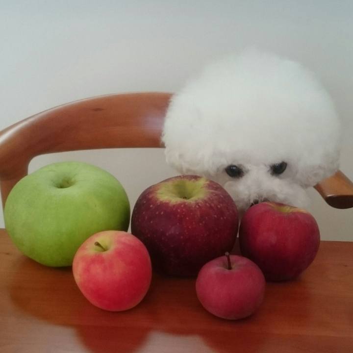 E972becb 0a8c 43d8 92c8 f19f94d8501d