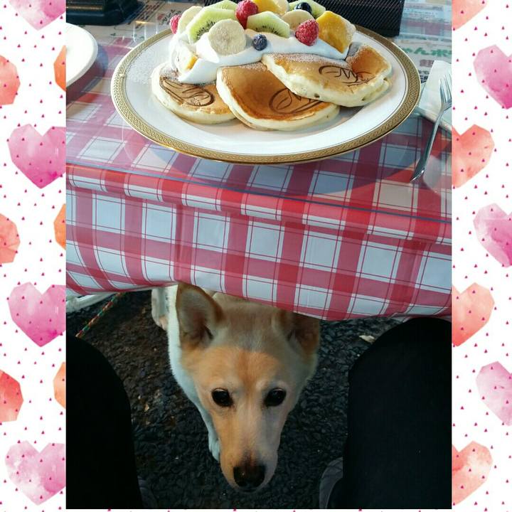 E973adee b79c 430d 8e44 088ea3a4bf3a