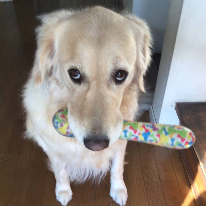 E973ec98 aee8 4187 b036 af3083d9b03d