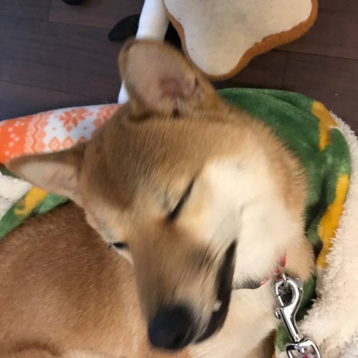 E973f70f bfbb 4b16 8bdd 6e1a15e35193