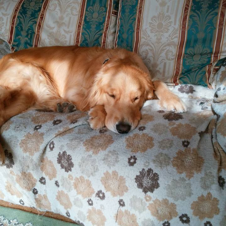 E9747407 9305 4082 a11d f5eb43f6b058