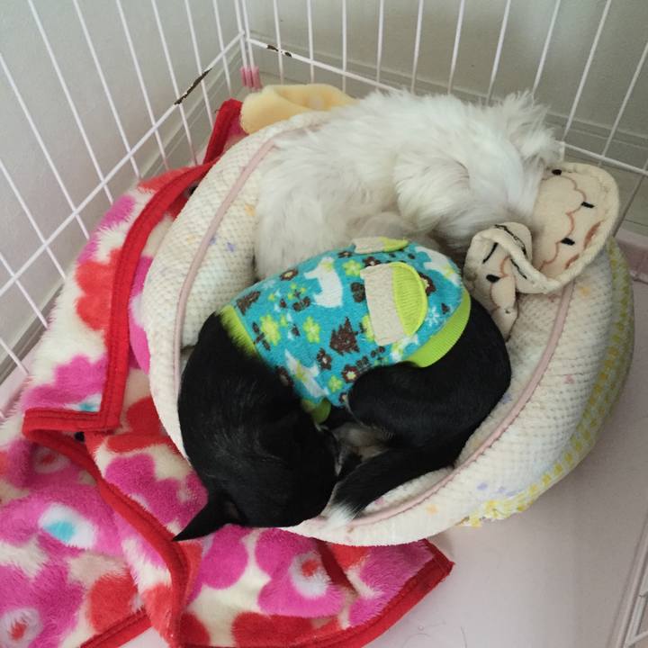 E9752ef4 afdd 4cee a69f ebe808c8d4e0