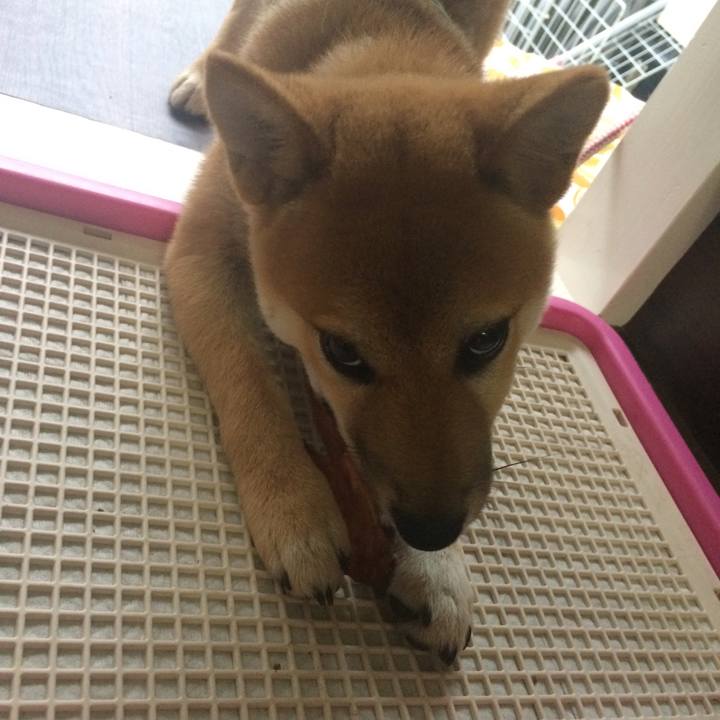 E9755098 202e 4f83 95cd 490680e81c37