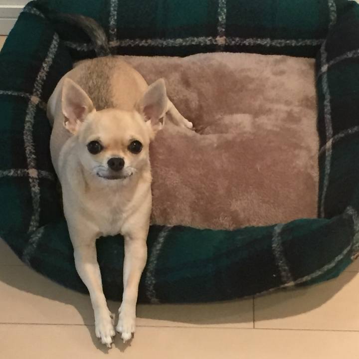 E9758be8 5d8d 42e9 8d93 7a1246da31b8