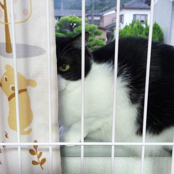 E9761a01 ebc5 4b7e 9f5e 74d1a6ba31af