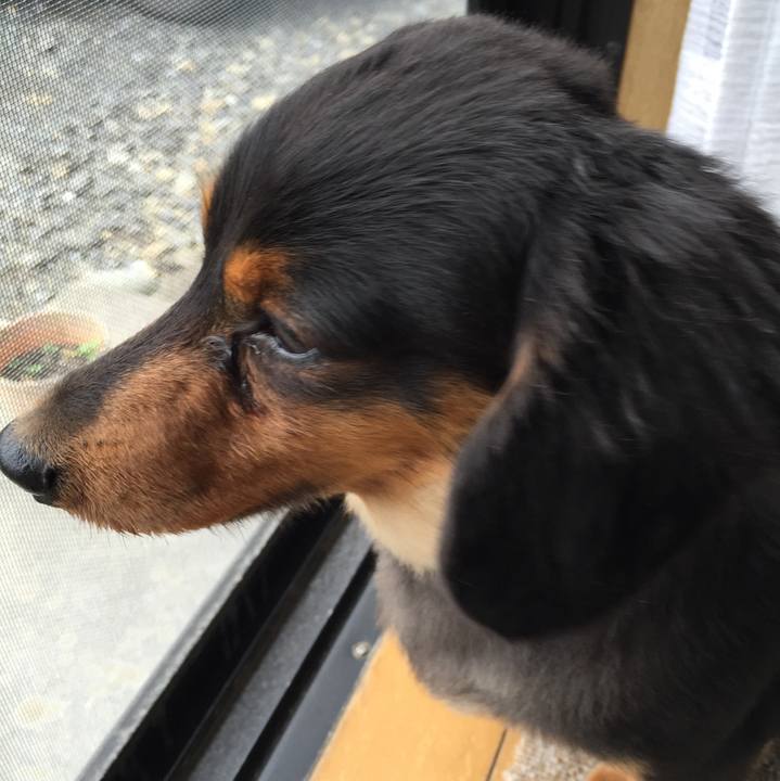 E9764103 ad58 4019 bd24 33e4d6c62f6f