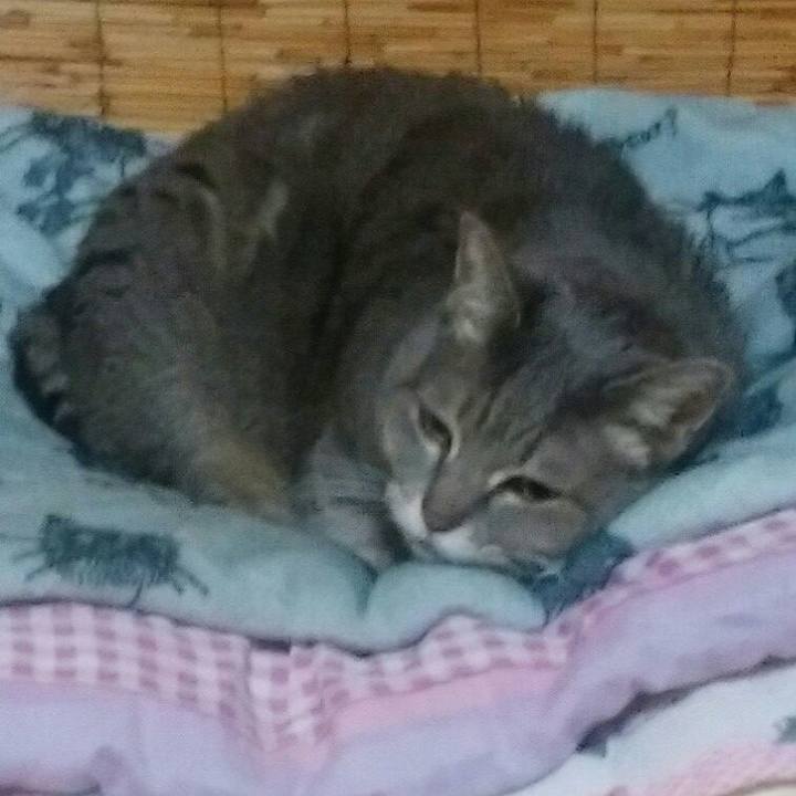 E976fc2c c104 4603 bf8a b330212ca763