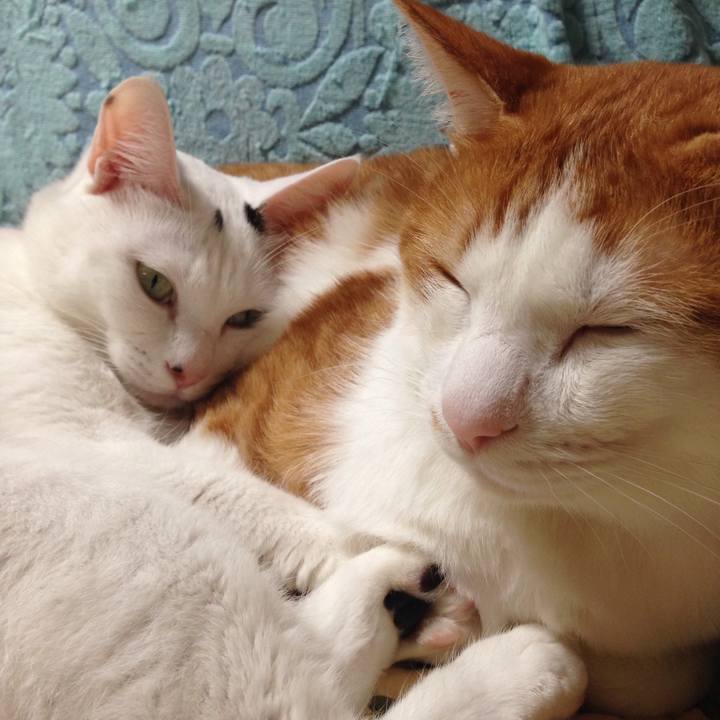 E977012b 757a 4e37 bdbf 6a4f80745b24