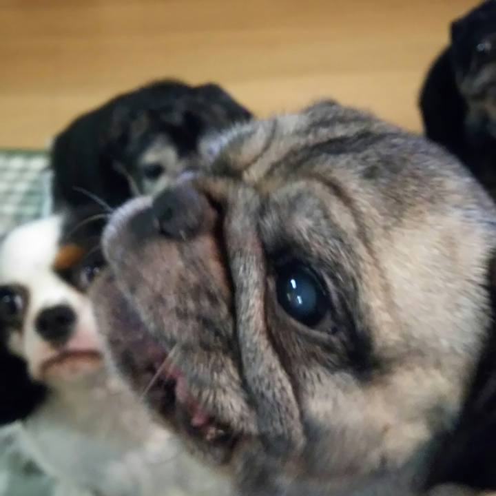 E977909e e8e6 41cd 8d63 6552a5ed1088