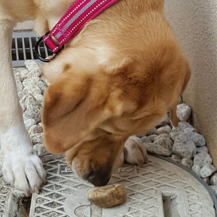 E9786bd9 edfc 4582 9727 5e70cfcf5e70