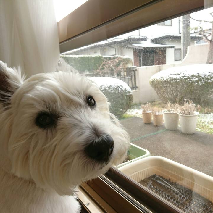 E9788eb3 af95 4a3a 933e c7f379e53d25