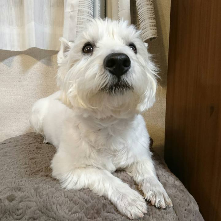 E97916f3 644a 4ffe b03b e3ffd6a070d2